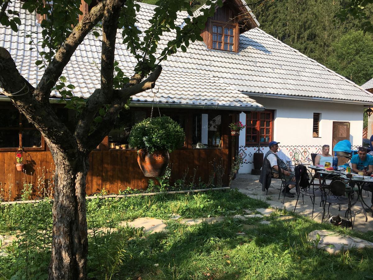Gospodaria Lui Nea Ion Vama Buzăului Exterior foto